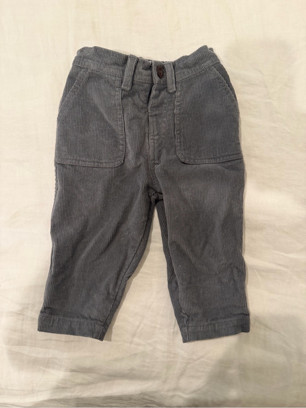 Colored Organics Anders Corduroy Pant In Agave